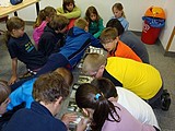 Obrázek v galerii