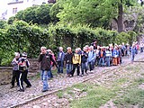 Obrázek v galerii