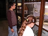 Obrázek v galerii