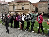 Obrázek v galerii