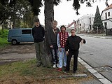 Obrázek v galerii