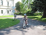 Obrázek v galerii