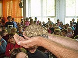 Obrázek v galerii