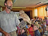 Obrázek v galerii