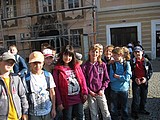 Obrázek v galerii