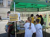 Obrázek v galerii