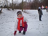 Obrázek v galerii