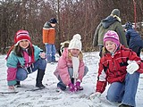 Obrázek v galerii
