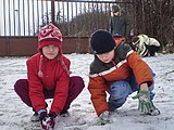 Obrázek v galerii