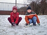 Obrázek v galerii