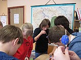 Obrázek v galerii