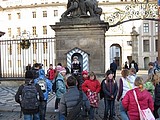 Obrázek v galerii