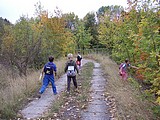 Obrázek v galerii