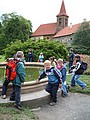 Obrázek v galerii