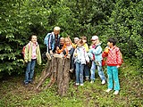 Obrázek v galerii