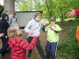 Obrázek v galerii