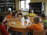 Obrázek v galerii