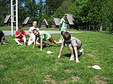 Obrázek v galerii