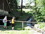 Obrázek v galerii