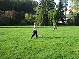 Obrázek v galerii