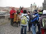 Obrázek v galerii