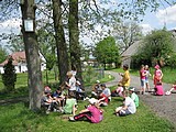 Obrázek v galerii
