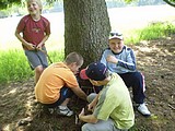 Obrázek v galerii