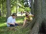 Obrázek v galerii