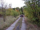 Obrázek v galerii
