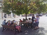 Obrázek v galerii