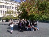 Obrázek v galerii