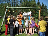 Obrázek v galerii