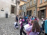 Obrázek v galerii