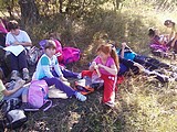 Obrázek v galerii
