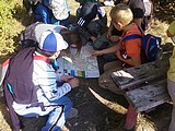 Obrázek v galerii
