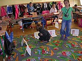 Obrázek v galerii