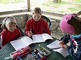 Obrázek v galerii
