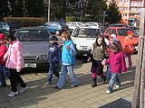 Obrázek v galerii