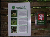 Obrázek v galerii