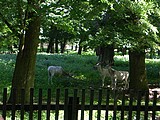 Obrázek v galerii