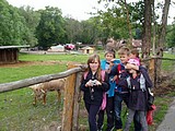 Obrázek v galerii