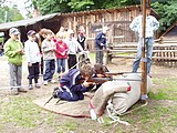 Obrázek v galerii