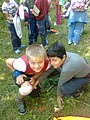 Obrázek v galerii