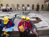 Obrázek v galerii