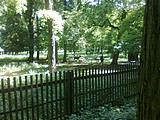 Obrázek v galerii