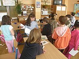 Obrázek v galerii