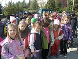 Obrázek v galerii