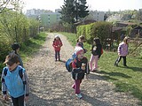 Obrázek v galerii