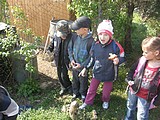 Obrázek v galerii