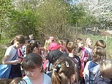 Obrázek v galerii